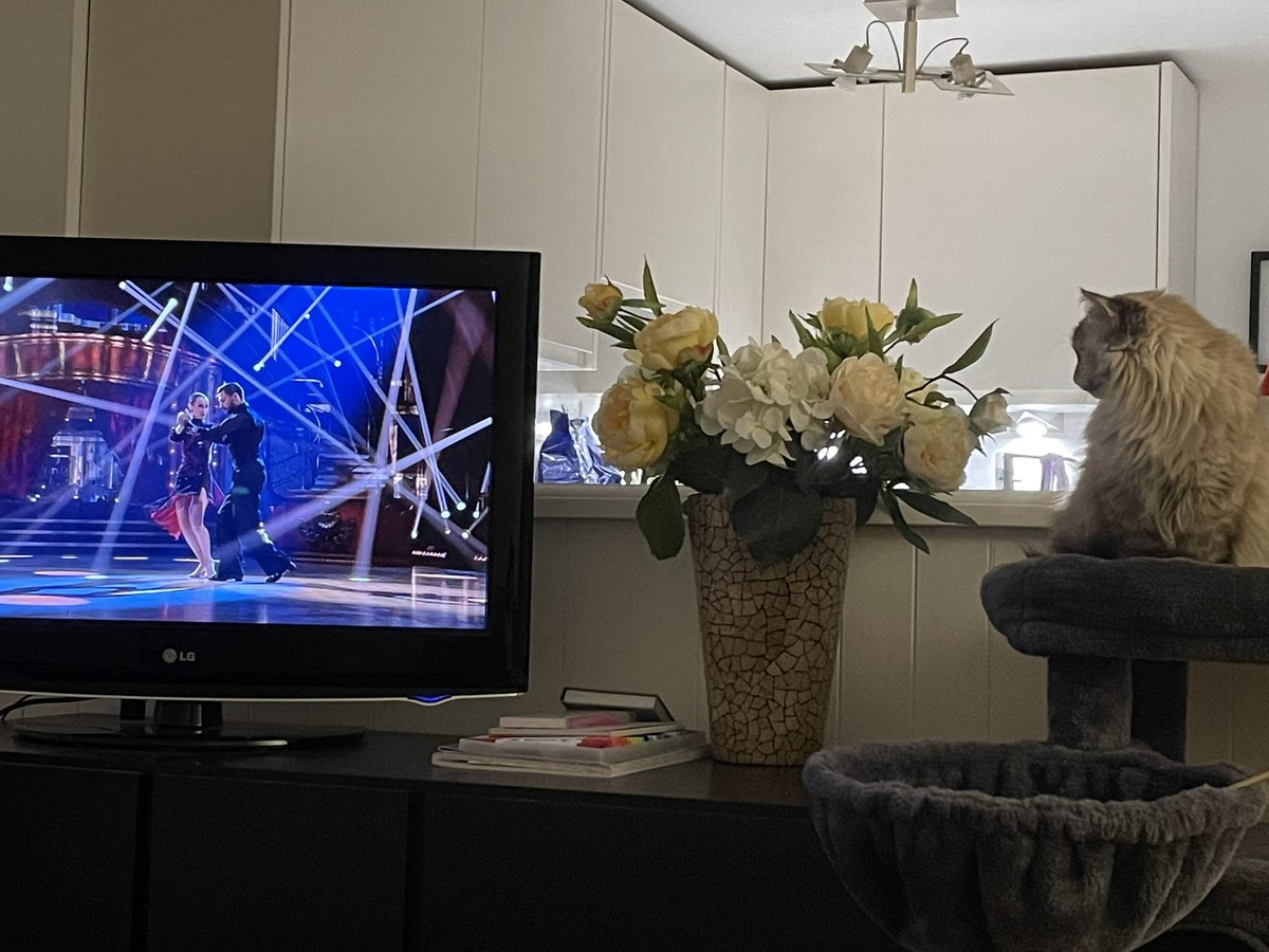 My prinny watching <a href="/bbcstrictly/">BBC Strictly ✨</a> with the amazing <a href="/pernicegiovann1/">Giovanni Pernice</a> and @RoseAylingEllis
