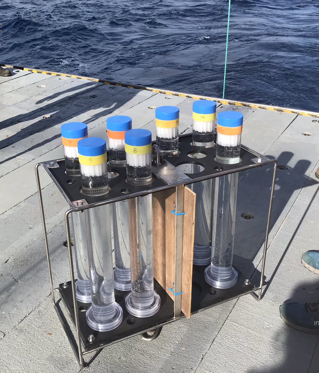 Bermuda Atlantic Time-Series Study (BATS 🦇) (@batsbermuda) on Twitter photo Exciting deployment today on the BATS cruise…our new sediment trap racks!!
Designed by BATS tech Dom Smith, these bespoke racks were created to hold the new sediment trap tubes designed by former BATS tech Matt Hayden.
We might be an old time series but we love new ideas! Exciting deployment today on the BATS cruise…our new sediment trap racks!!
Designed by BATS tech Dom Smith, these bespoke racks were created to hold the new sediment trap tubes designed by former BATS tech Matt Hayden.
We might be an old time series but we love new ideas!