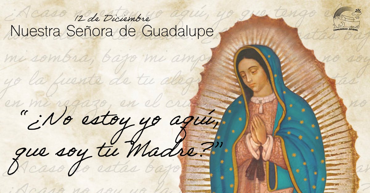 Desde el cielo una hermosa mañana 💕

Hoy celebramos la Solemnidad de Nuestra Señora de Guadalupe ❤️

Que Santa María siempre Virgen nos cuide, nos proteja y nos acompañe siempre.

Santa María de Guadalupe, Reina de México
Salva nuestra patria y conserva nuestra fe