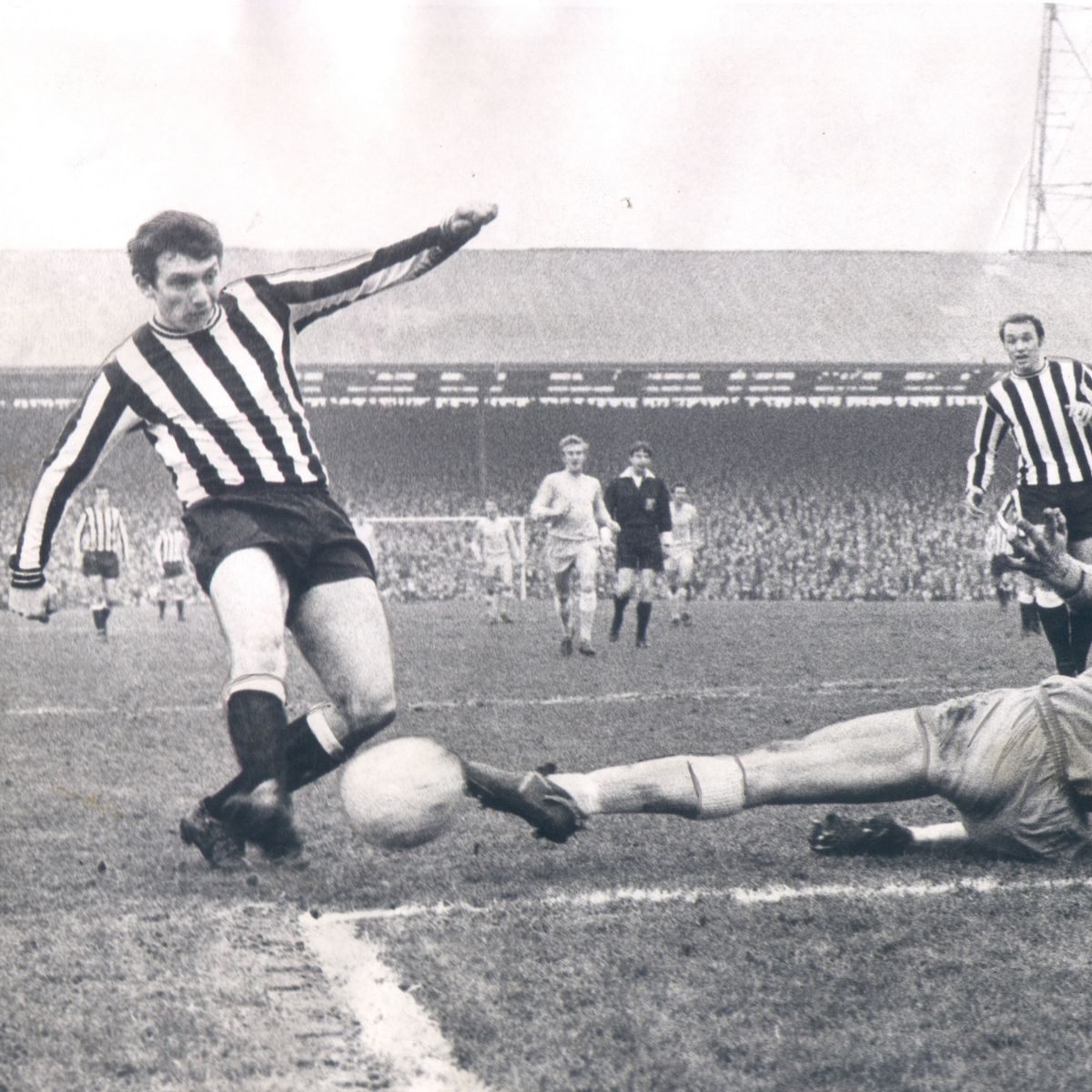 robertmdaws's tweet photo. #davidcraig #NUFC @NUFC https://t.co/QdebDASKu7
