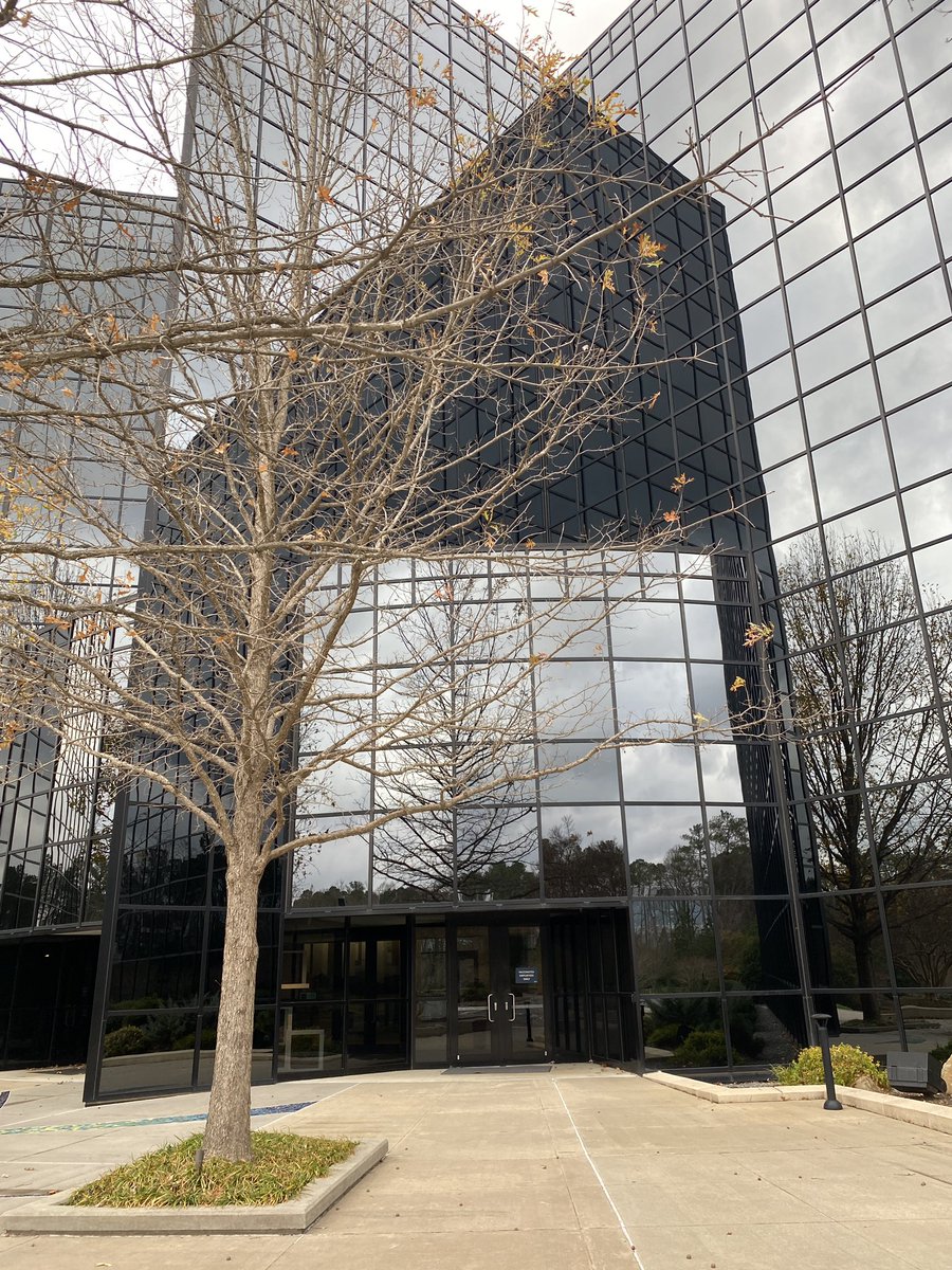 Melanie Farrell tweet media