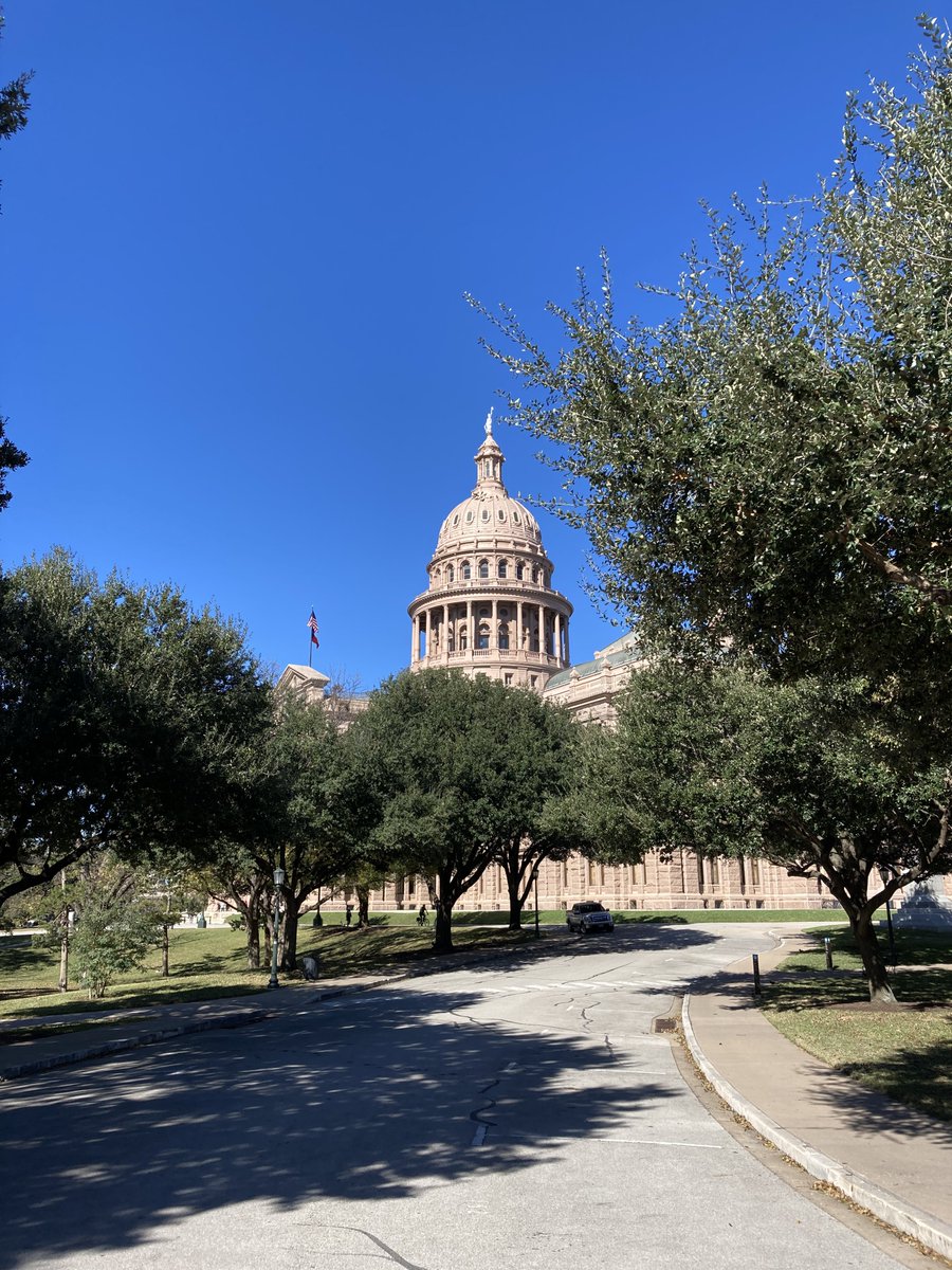 Judith Sheen tweet media