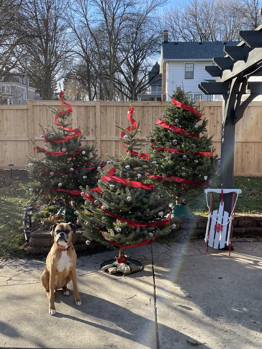 DashtheB's tweet photo. Why must I pose for pictures?  I just flat out usually refuse to look at the camera.  I caved a bit today but you can tell I am not pleased by the look on my face. https://t.co/Eh1ZLjAFco