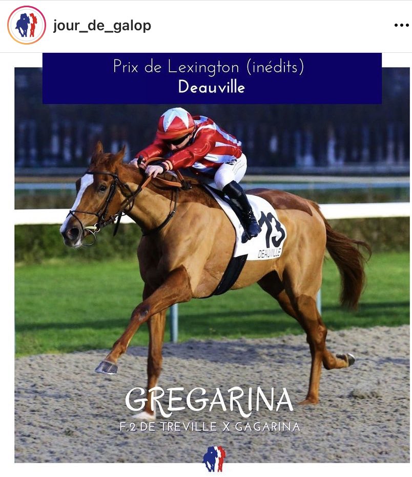 Que de belles victoires à Deauville!

Aujourd’hui encore mon Ambassadeur à brillé sur les pistes avec la superbe Gregarina! 
Une fin d’année sous une belle étoile qui annonce une année 2022 propices à de grandes émotions
Un grand merci de m’amener toujours plus haut !@pasquito60