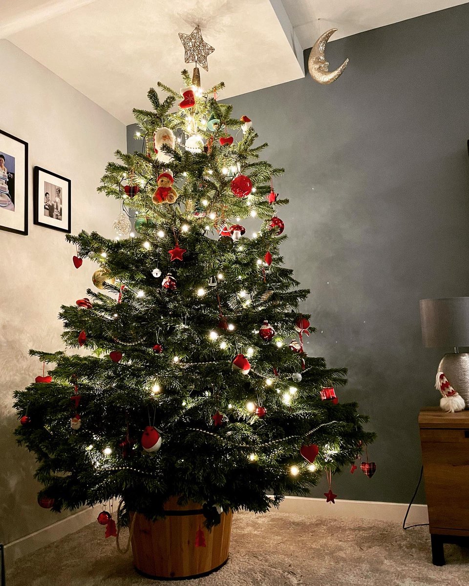 stephanie_todd's tweet photo. Might be a little bit in love with this oneโฆ ๐๐๐๐๐๐๐๐๐๐ #Christmas #tweetyourtree https://t.co/686H9v75lQ