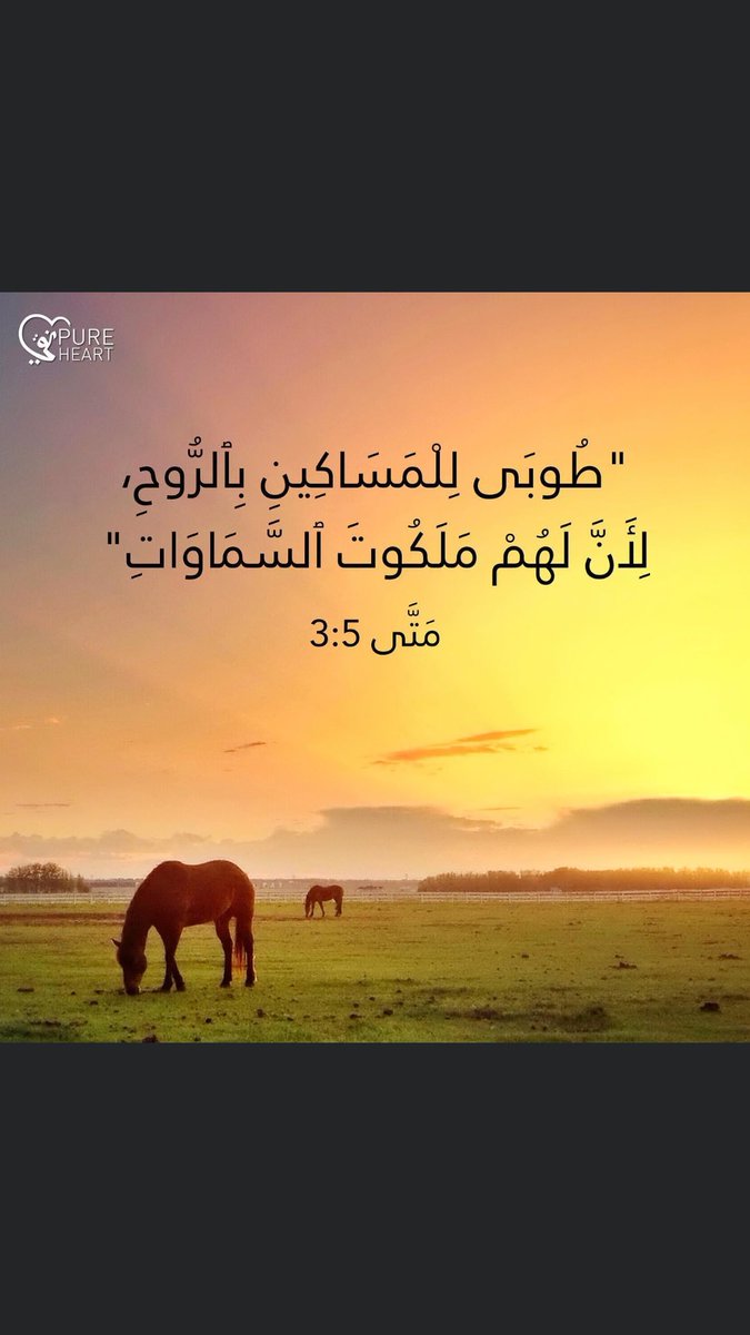 Maichel Ebeid (@ebeid_maichel) on Twitter photo 