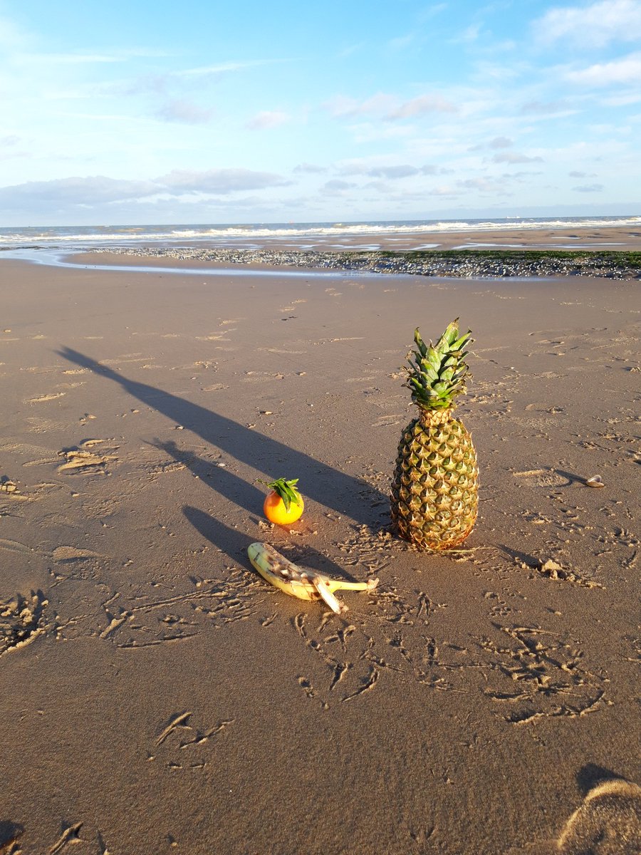 KonijnRS's tweet photo. My mum wrote me today she's enjoying her exotic holiday at the coast .. I mean can't say she's wrong is she? https://t.co/ZgGdPC0uKW
