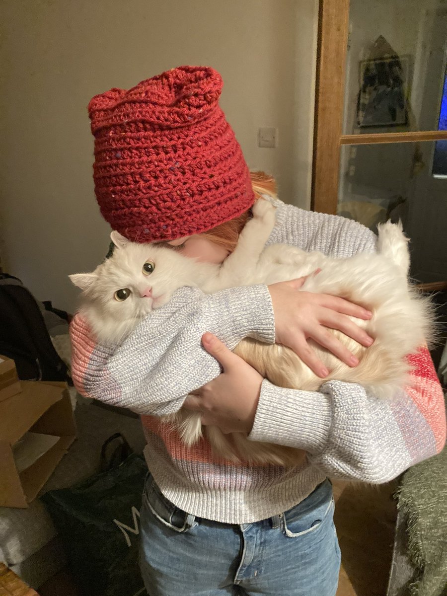 CatobiObi's tweet photo. No, mumy,,, no mumy kises, yuck ! https://t.co/C6ZG7obxfN