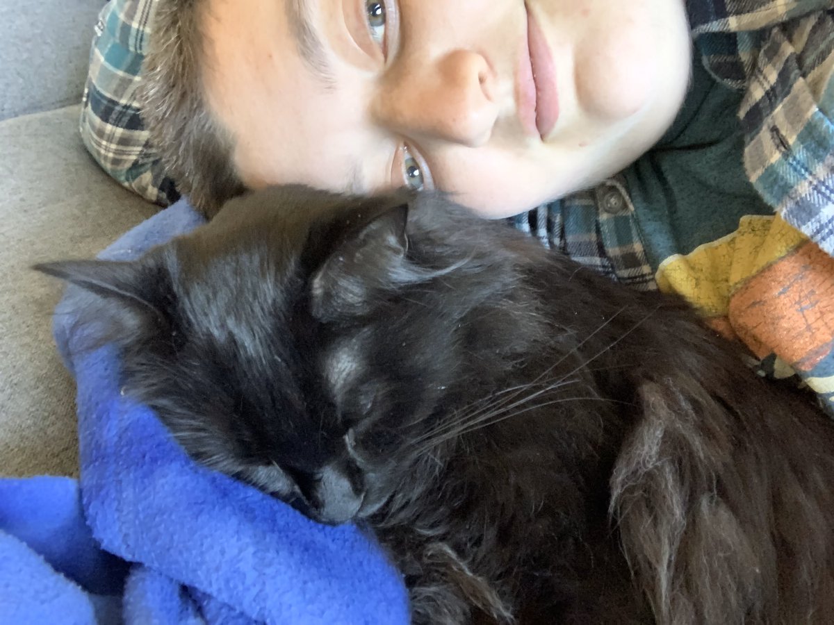 GitinSy's tweet photo. In case anyone was wondering, I have the best cat in the world https://t.co/kRovQWIlEE