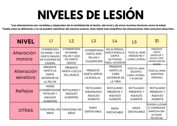 bi_neure's tweet photo. ¡El esquema de los signos clínicos según el nivel de lesión de #LM, tuvo muy buena acogida!

Os dejamos el resto y si quieres saber más acerca de la #MédulaEspinal visita https://t.co/MM4rWE3JbI https://t.co/QqutWsHV69