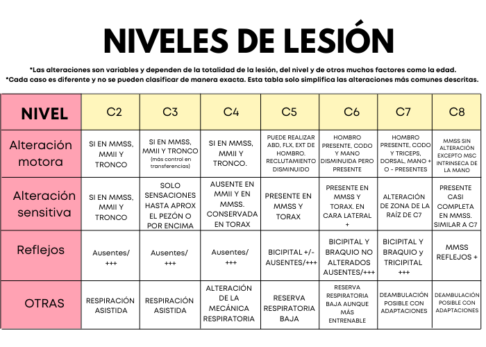 bi_neure's tweet photo. ¡El esquema de los signos clínicos según el nivel de lesión de #LM, tuvo muy buena acogida!

Os dejamos el resto y si quieres saber más acerca de la #MédulaEspinal visita https://t.co/MM4rWE3JbI https://t.co/QqutWsHV69