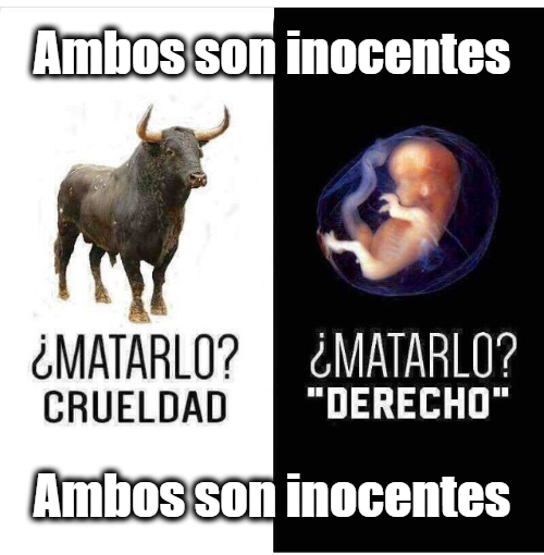 Antonio Palacios: Las mujeres no tienen pene tweet media