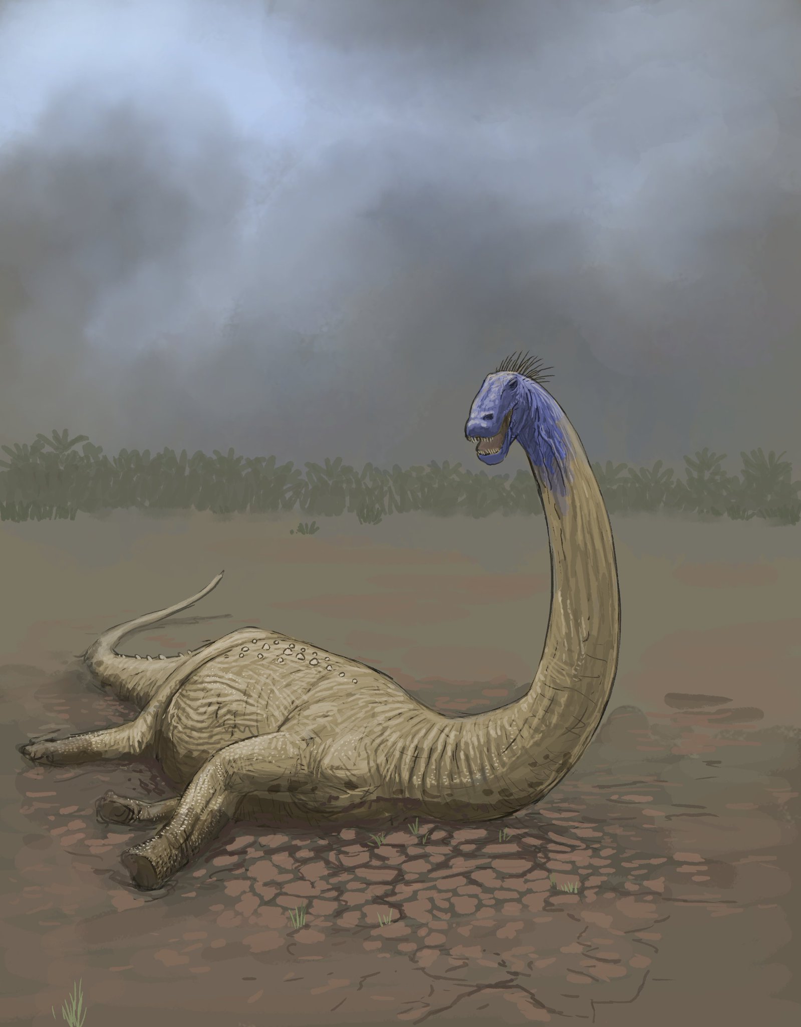 Joschua Knüppe on Twitter