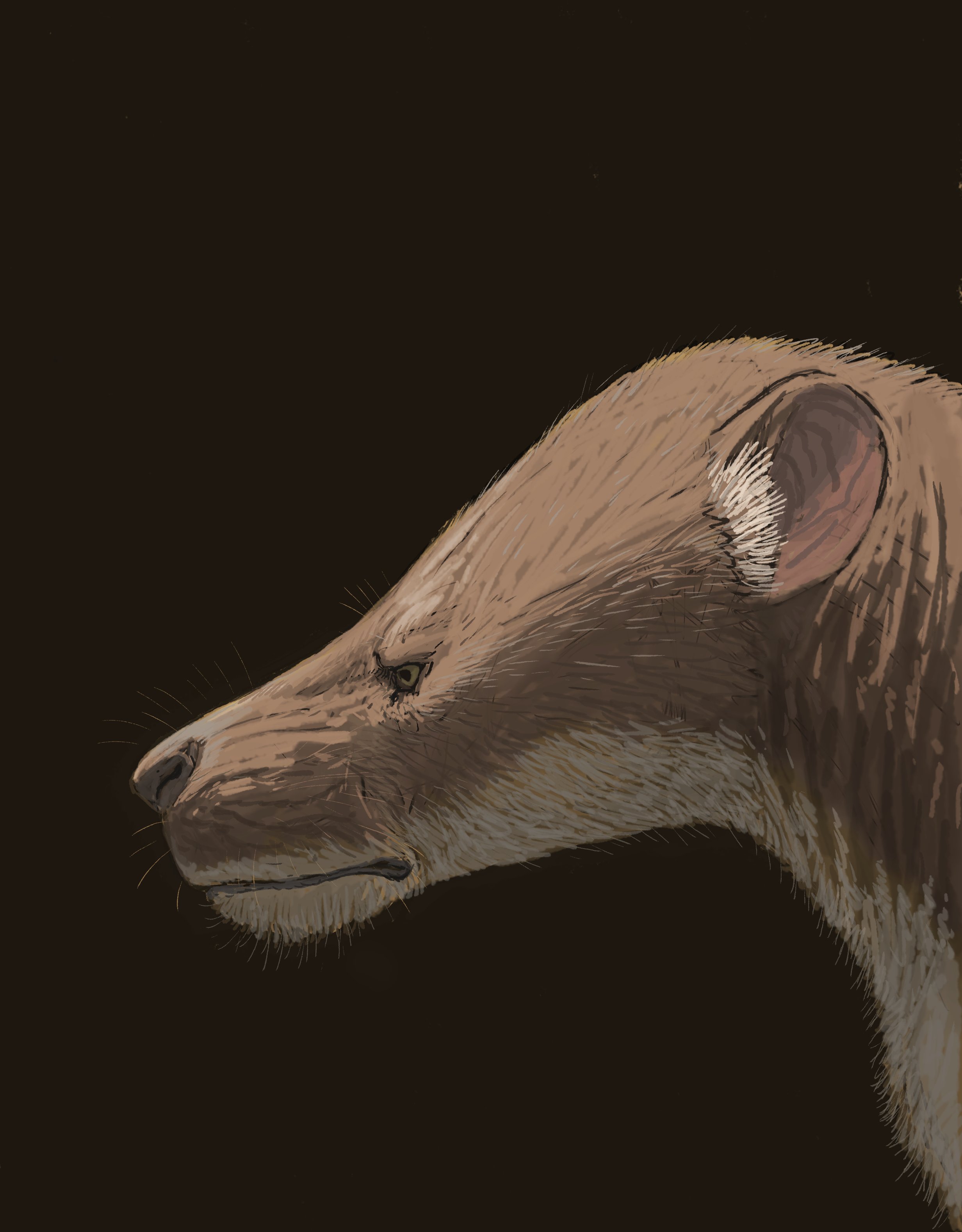 Joschua Knüppe on Twitter 