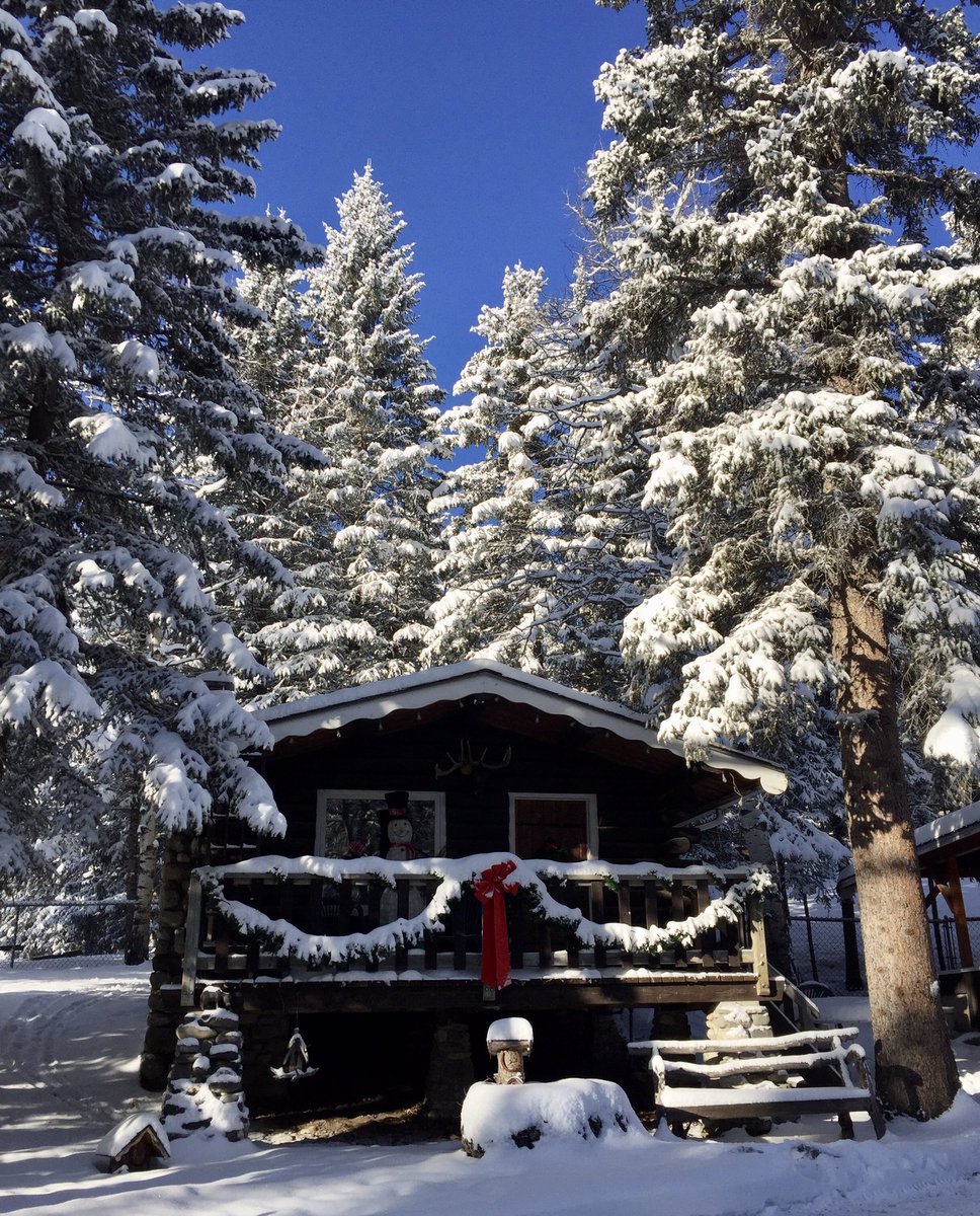 some1else2's tweet photo. Our Winter Wonderland. Such a beautiful Sunday. #Waiparous #Alberta #snow #BlueSky #WinterWonderland #deer #RescueDog #AARCsAlumni https://t.co/tYGTP0oqiQ