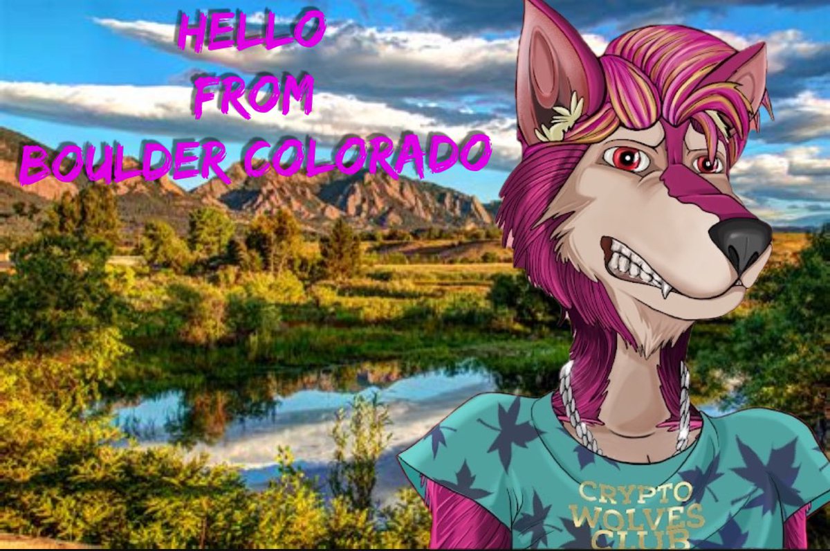 Join the best pack in the Metaverse @Cryptowolfclub