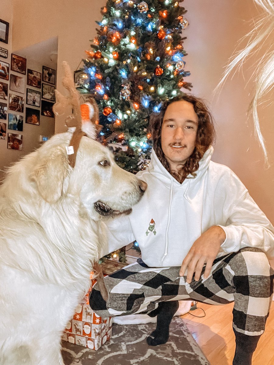 ShelbeeTurner's tweet photo. Odin the Reindeer 🎄🎅 https://t.co/vi4evxZro6