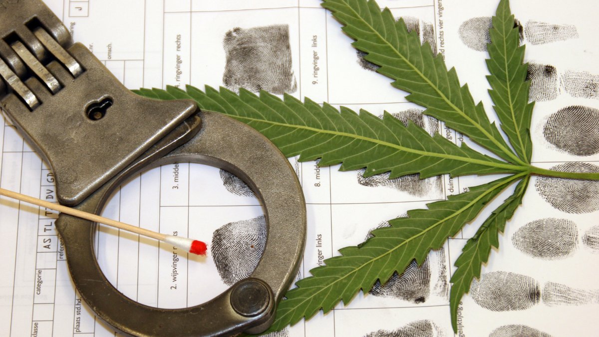 CBDLearningBase's tweet image. San Francisco has approved an ordinance suspending the city&apos;s business tax on cannabis retailers last week due to the current crime surge. fxn.ws/3pNWJWp

#SanFrancisco #CBD #CannabisCommunity #cannabisculture #Cannabisnews