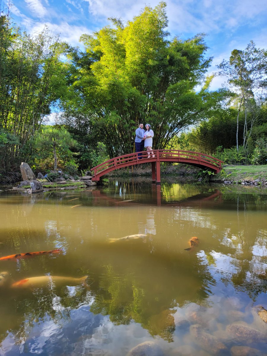 Jeffrey Fernandez tweet media