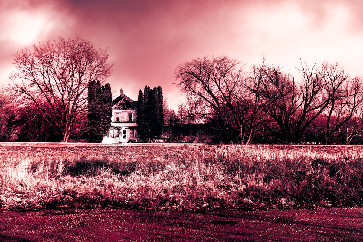 Little Murder House

#monochrome #photography #photooftheday