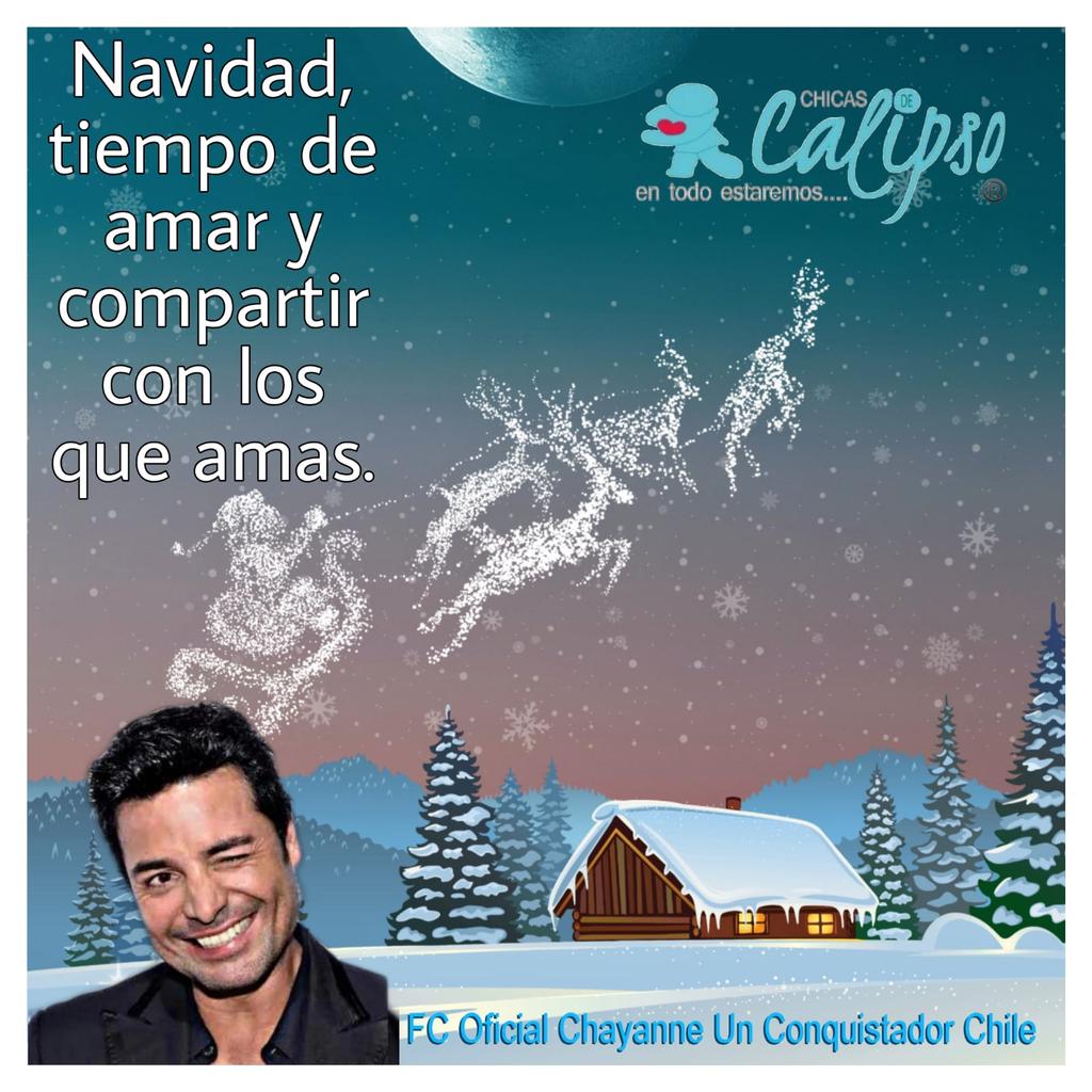 sandra lorena tweet media