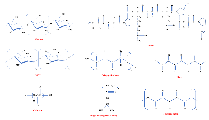 RCMjournal's tweet image. 🌟🌟🌟Top Cited paper (11/30)
Application of injectable #hydrogels for #cardiac #StemCellTherapy and #tissue engineering

#stemcell 

rcm.imrpress.com/EN/10.31083/j.…