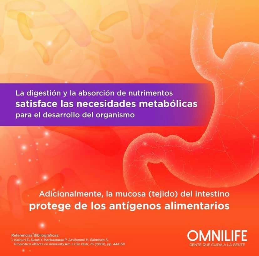 Distribuidor_ST's tweet photo. Nuestro cuerpo está conectado y todos los sistemas están relacionados entre sí. Es por eso que aquí te dejo el impacto que tiene nuestro sistema digestivo sobre el inmunológico 😊
#Omnilife #NFuerza #sistemadesalud #sistemainmunológico #sistemadigestivo https://t.co/PB3Dlq4fqJ