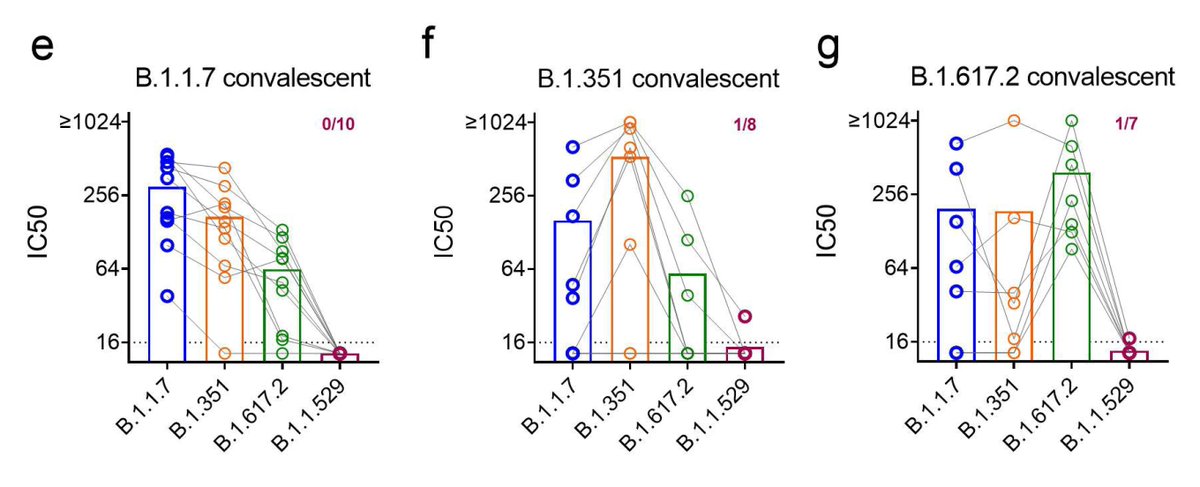 If you think Prior Covid protects against Omicron (B.1.1.529), think again 
medrxiv.org/content/10.110…
and
"Neutralizing antibody titers against Omicron were low, even below the limit of detection in a significant fraction of convalescent individuals
drive.google.com/file/d/1zjJWsy…