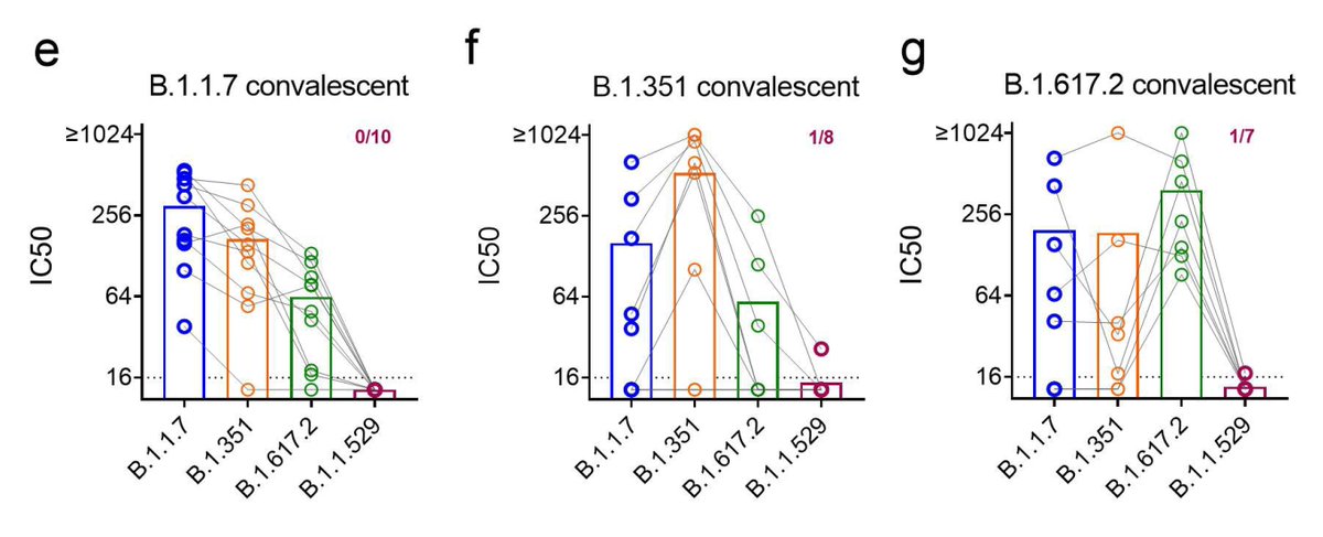 If you think Prior Covid protects against Omicron (B.1.1.529), think again medrxiv.org/content/10.110… and 'Neutralizing antibody titers against Omicron were low, even below the limit of detection in a significant fraction of convalescent individuals drive.google.com/file/d/1zjJWsy…