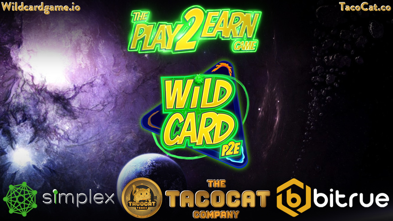 MarieMisfit's tweet photo. Bullish on $TCT #TacoCattoken is THE #BlueChipTaco of Crypto and fluffier then #Cake !!! The expert in anything was once a beginner! https://t.co/4aS7ibbEON