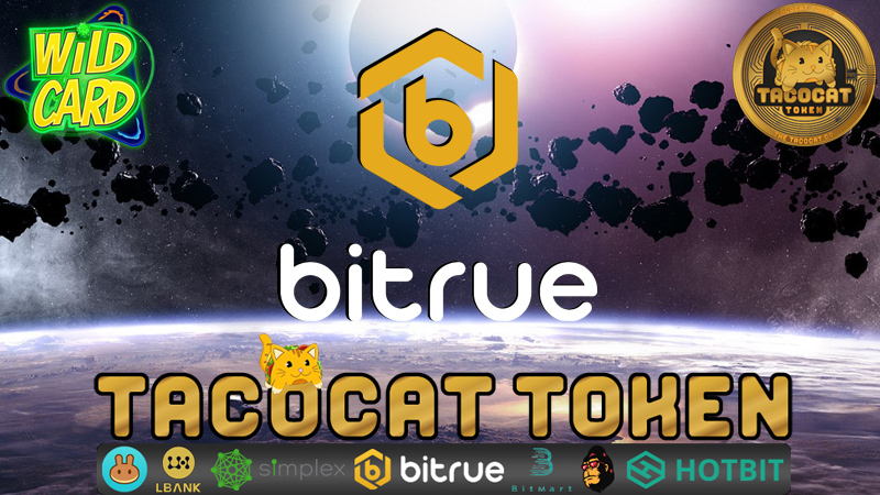CryptoAmore1's tweet photo. Solid project on #BSC?! Check out $TCT!!!. Available NOW on #Bitrue! If you can dream it, you can do it. Bullish!! #BlueChipTaco #Tezos https://t.co/62phxetflk