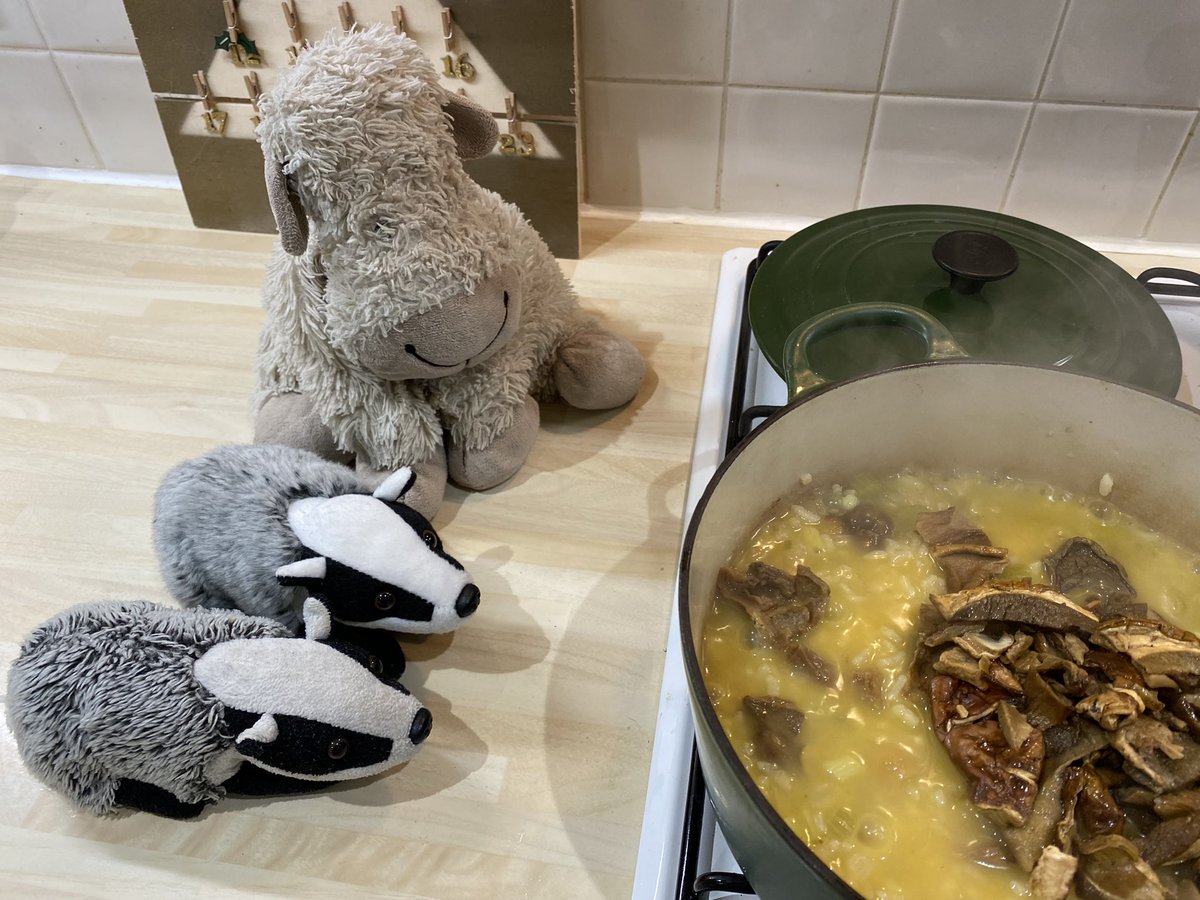 When the rice is looking nearly done, drain the porcini mushrooms and add to the risotto…#MasterChefSheep #ChristmaswithBella