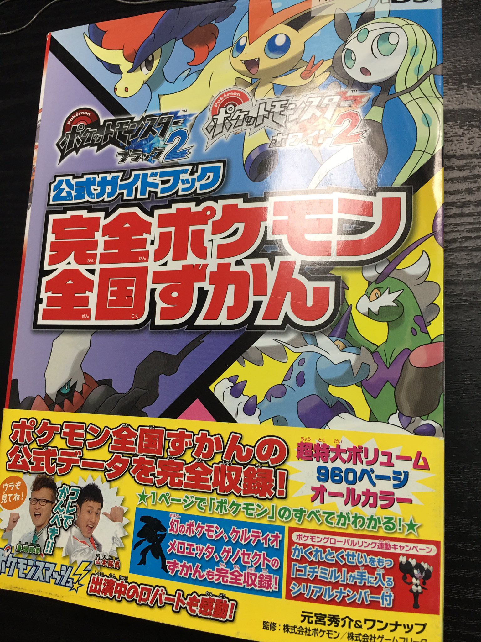 肥前佐賀脱藩志士 昨夜からポケモン剣盾re スタート まだバッジ0です 3番道路をこれから進みます Twitter