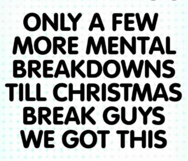RayannMitchell's tweet photo. Enjoy Marlowe Elementary's quote of the week. Just 5 more school days until Winter Break! Hang in there! @MarloweElem @pascoschools https://t.co/XG02VibPgK