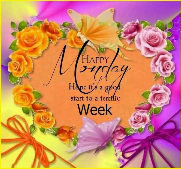 ranigill7's tweet photo. #happymondayeveryone #Gooddayworld🧡🧡🧡🌸🌸🌸🧡🧡🧡 https://t.co/CZcUPELOOL