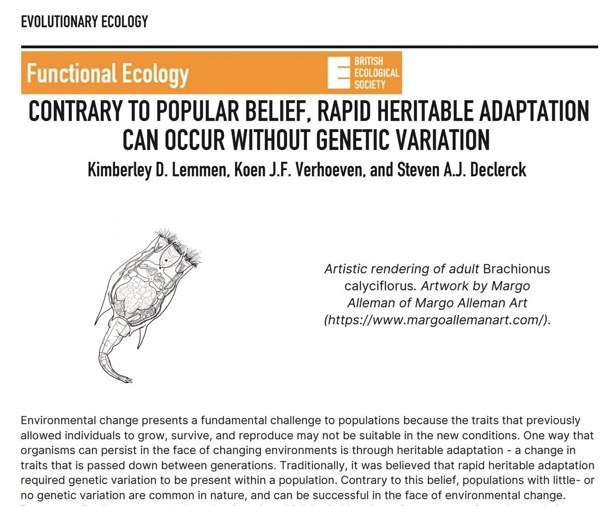 margodrawsrocks's tweet photo. I had a blast working with @KimberleyLemmen on the graphics for her thesis! Learning about rotifer morphology so I could accurately draw the lil' critters in all their life stages was so, so fun 😁
Thanks Kim!
#sciart https://t.co/25pGDl5gwn