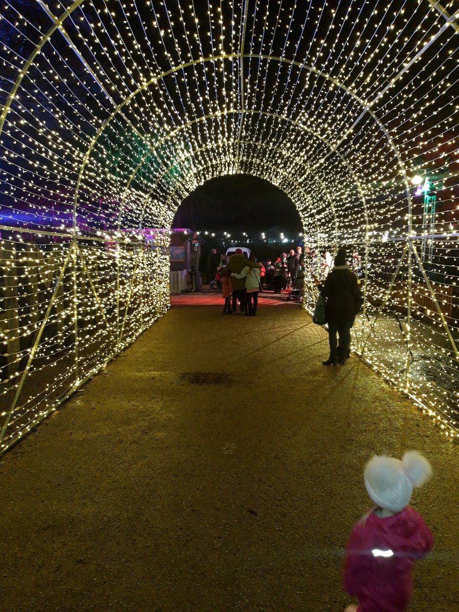 forber_janet's tweet photo. James enjoying a festive evening at Knowsley Safari. It's starting to feel a lot like Chrustmas 🎅
@MrHardy17 @parishschool1 https://t.co/CWcV4Zj3z2