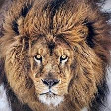 JanetDa37676902's tweet photo. All it takes for Evil and Failure to Prevail is for Good Man to do Nothing”I'm not perfect by any means but my intentions are good, my heart is pure and I love hard with everything I've got and because of those things..FOR THE FIRST TIME. https://t.co/gGpOSQZ1Xx