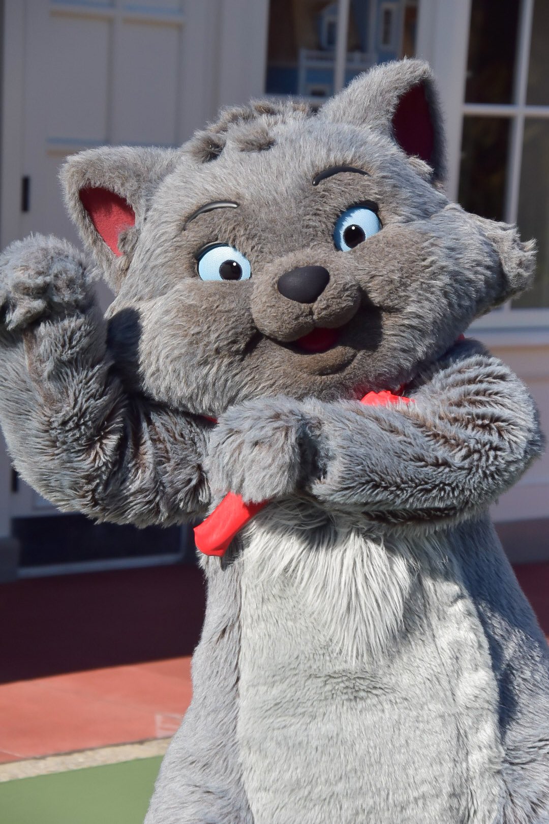 Nabeyan ベルくん ディズニー 東京ディズニーリゾート 東京ディズニーランド ベルリオーズ T Co 9kdwzss2xu Twitter Nabeyan ベルくん ディズニー 東京ディズニーリゾート 東京ディズニーランド ベルリオーズ T Co 9kdwzss2xu Twitter