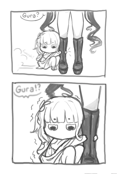 poor shorkie 