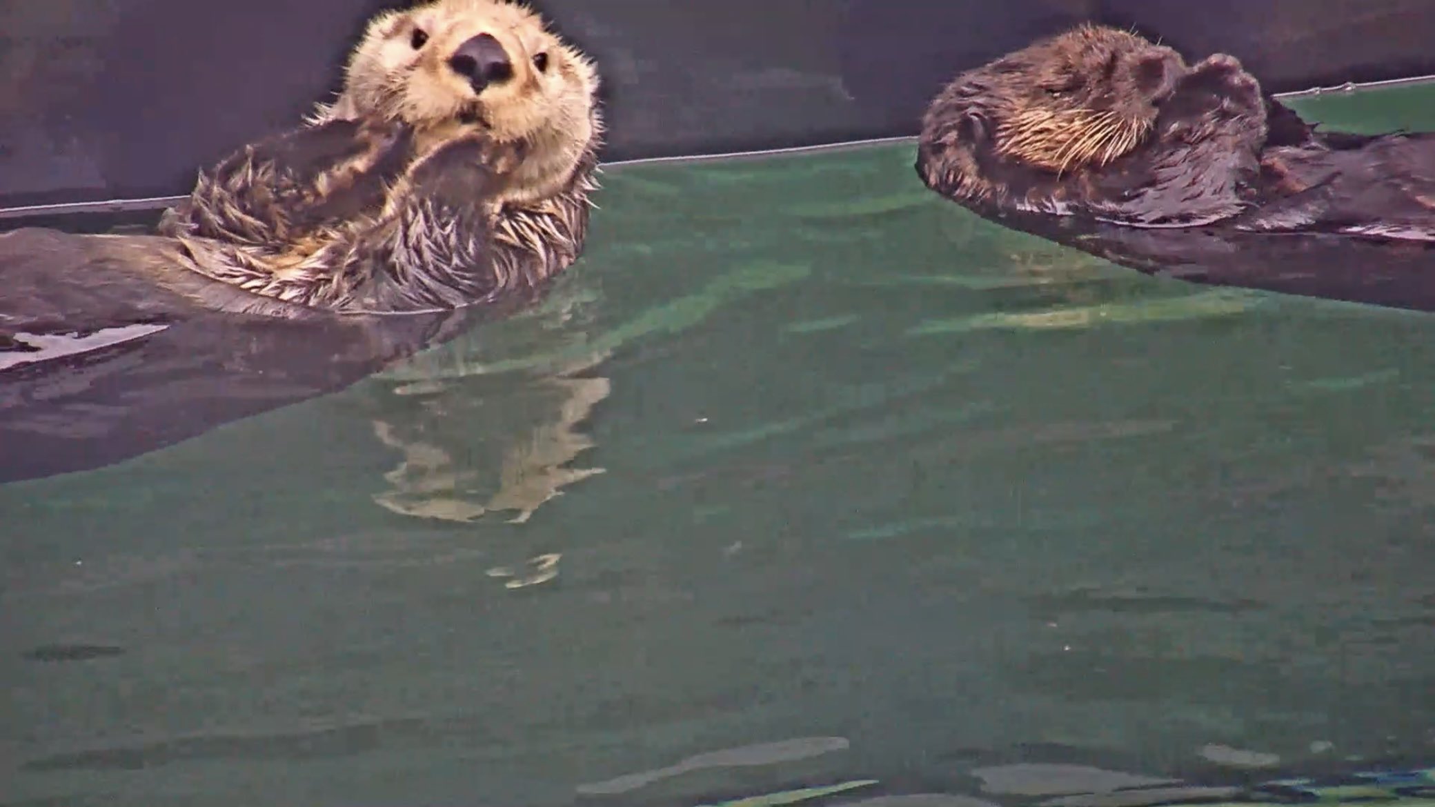 𝕌ℕ𝕆 Unonnon Twitter