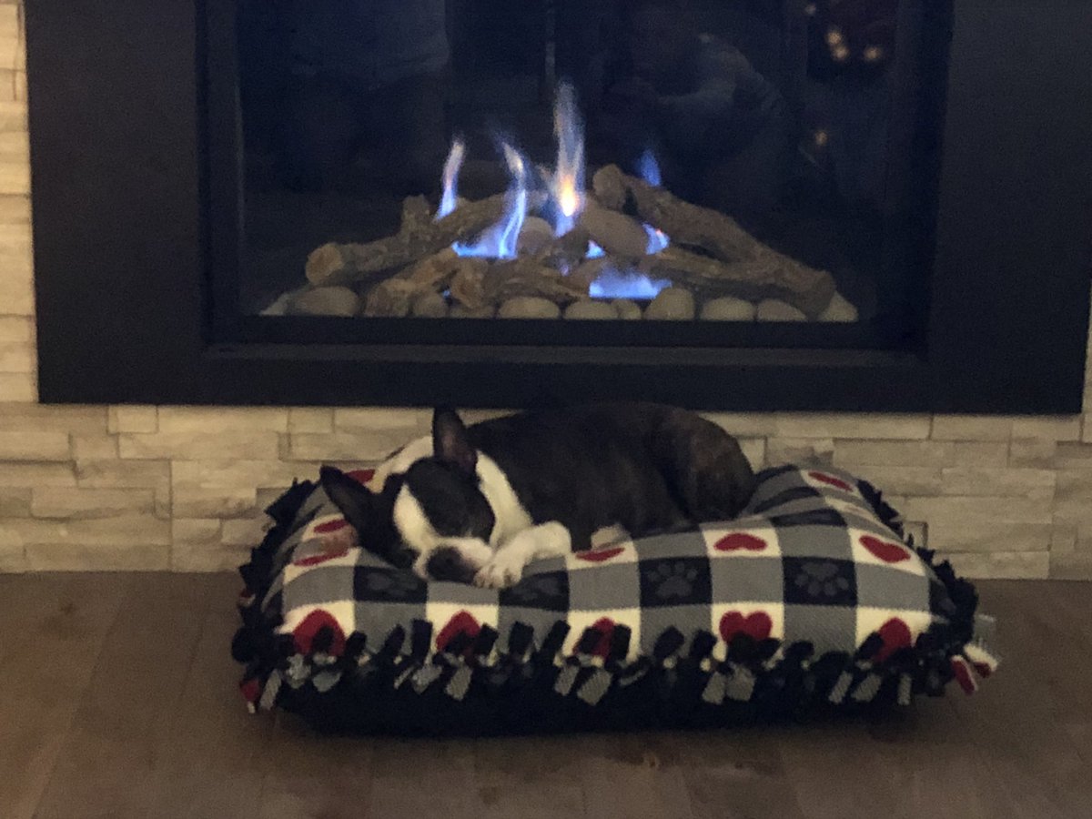 mstankowitsch's tweet photo. Someone is liking his new pillow from @piperspillows Thank you @kidbrock7 @KidwatsonSmith 🎄🎅🏼 https://t.co/u4mZxXc86X