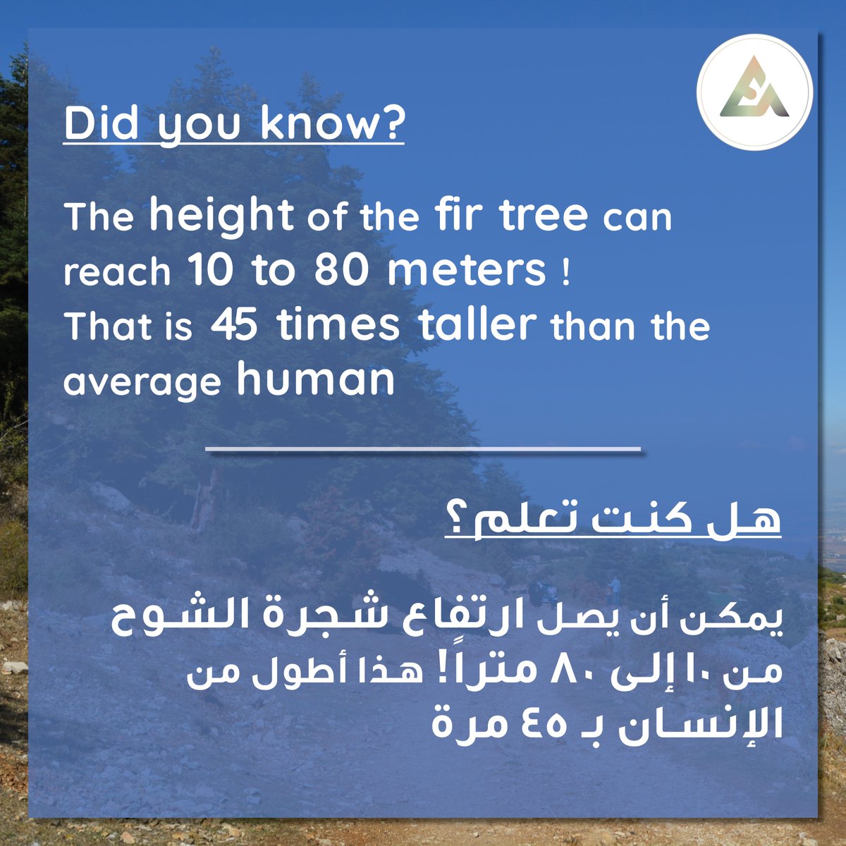 EnvironmentAcad's tweet photo. حقيقة ممتعة لبدء نهاركم.شكر خاص لفريق و أهالي #عكار العتيقة لجهدهم وإهتمامهم بغاباتهم وثرواتها!
#FunFact to start your day. #thankyou team & community of Akkar al Atika for the effort & care for the forests & wealth
#MondayMorning #صباح_الخير @najat_saliba @sarelwa2et #Lebanon https://t.co/sRmzDXlSSK