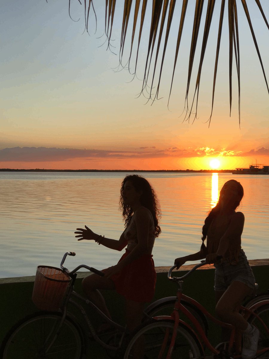 Chetumal tweet media