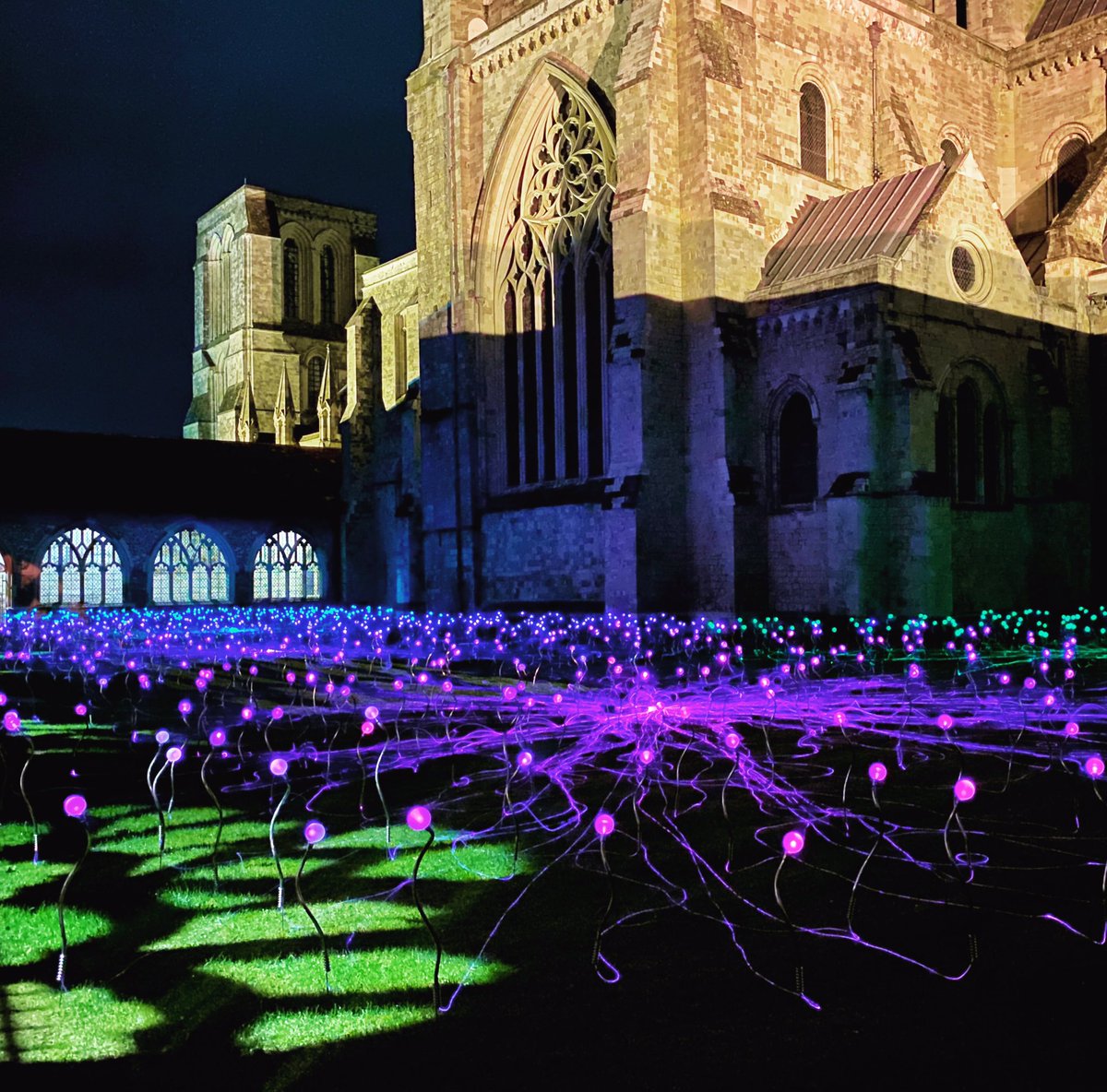 Have you visited the Field of Blooms at <a href="/ChiCathedral/">Chichester Cathedral</a> yet? 

#ChristmasAtChiCathedral #DiscoverChichesterCathedral #Chichester #westsussex <a href="/CSAChoir/">CSA Choir Schools</a> <a href="/PrebendalHead/">Alison Napier</a> <a href="/PrebendalBoard/">Prebendal Boarding</a>