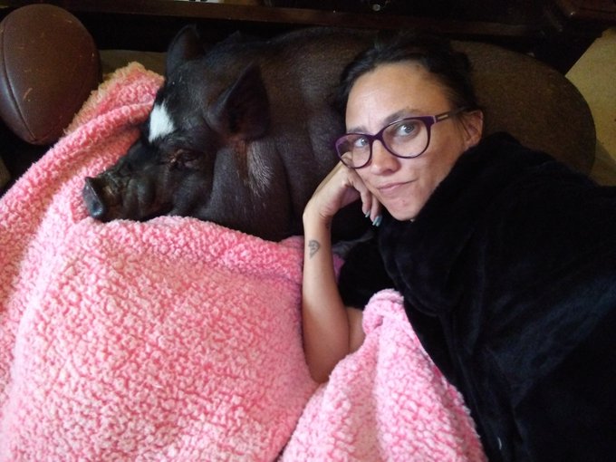 I am sick of being sick https://t.co/KvMJNkQX6m<a href="/tag/padres"class="tags"><span>#padres</span></a><a href="/tag/camprincess"class="tags"><span>#camprincess</span></a><a href="/tag/slamdiego"class="tags"><span>#slamdiego</span></a><a href="/tag/padreprinces"class="tags"><span>#padreprinces</span></a>