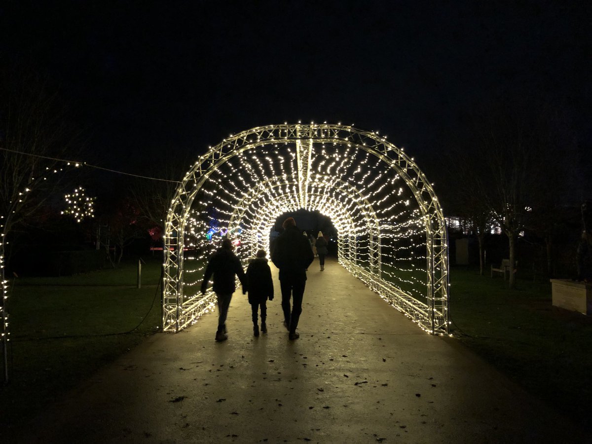lostinstaffs's tweet photo. Lovely walk ⁦⁦@Nat_Mem_Arb⁩ illuminated this evening. https://t.co/rdpBtc7XxR