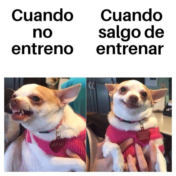 KeeponTraining's tweet photo. CONFIRMEN😂 https://t.co/N1kE8wg8Ao