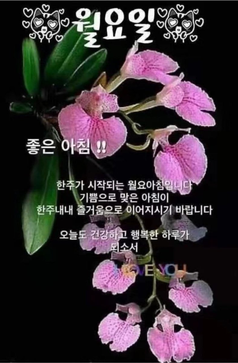 아침인사 #월요일 #월요일아침 #시작 #한주의시작 #활기차게 #감사함으로 #화이팅 #기분좋은날