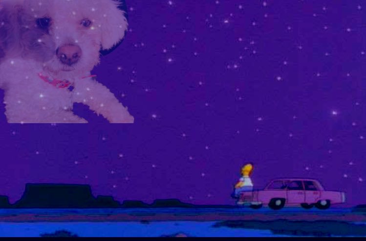 Emigarix tweet media